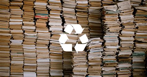 Can Paperback Books Be Recycled? Exploring the Intricate Ties Between Book Recycling and Sustainable Literacy