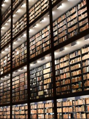 How Many Books Do You Need to Be Considered a Library? – A View on Knowledge Storage and Access