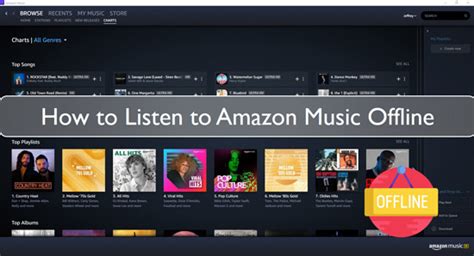 how to listen to amazon music offline and explore the vast world of audiobooks